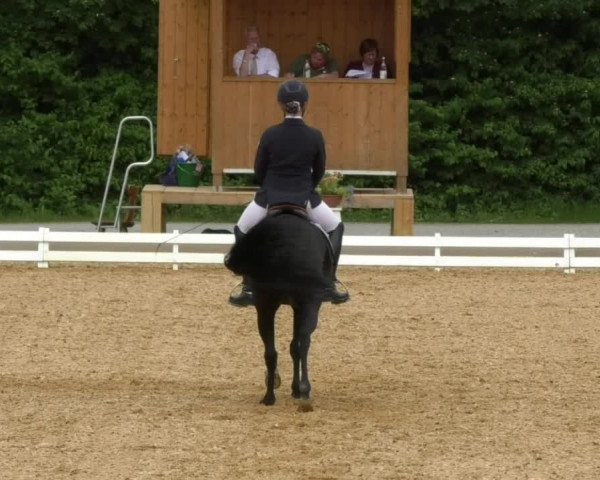 Reitturnier Schwaiganger 2017