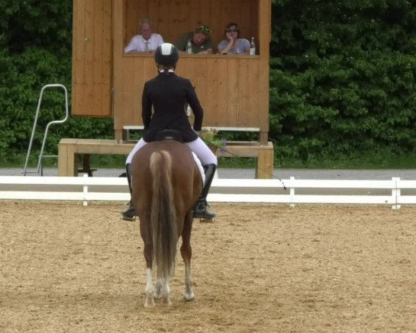 Reitturnier Schwaiganger 2017
