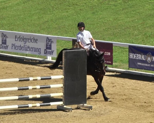 Reitturnier Schwaiganger 2017