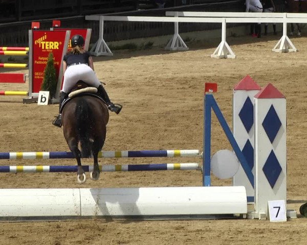 Reitturnier Schwaiganger 2017