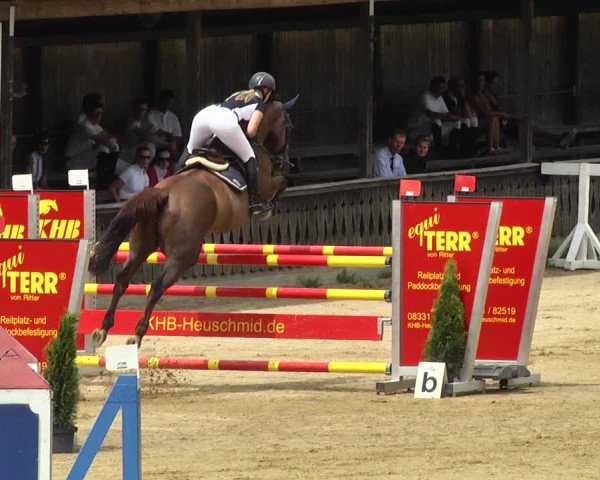Reitturnier Schwaiganger 2017