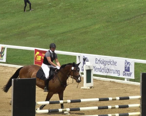 Reitturnier Schwaiganger 2017