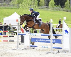 jumper La Carina (German Riding Pony, 2007, from Cebulon)