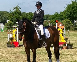 dressage horse Elano 40 (KWPN (Royal Dutch Sporthorse), 2009, from Tuschinski)