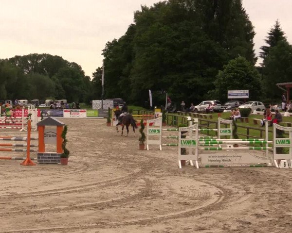 Reitturnier Detmold-Remmighausen 2017