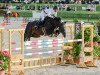 jumper Jasmine 19 (Oldenburg show jumper, 2011, from Charly Brown)