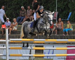 broodmare Con Fairy (German Sport Horse, 2006, from Con Sherry)