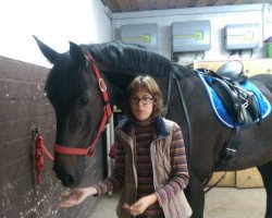 dressage horse Romantika 117 (Oldenburg, 2005, from Royal Diamond)