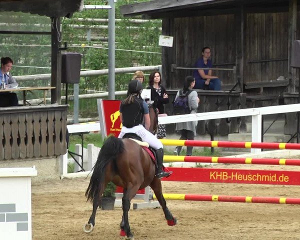 Reitturnier Schwaiganger 2017