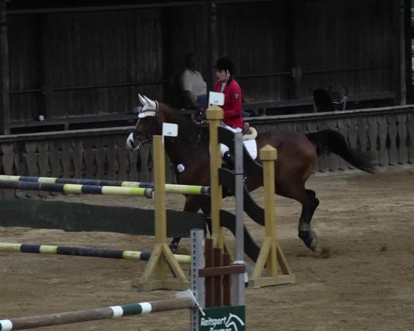 Reitturnier Schwaiganger 2017