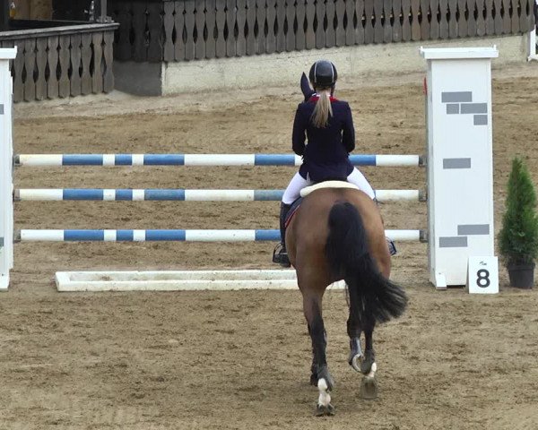 Reitturnier Schwaiganger 2017