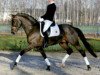 stallion San Brentano (Oldenburg, 2001, from Sandro Hit)