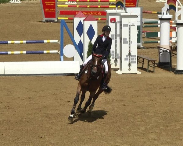 Reitturnier Schwaiganger 2017