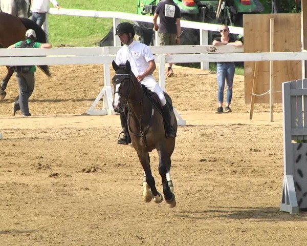 Reitturnier Schwaiganger 2017