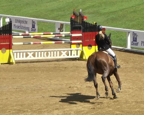 Reitturnier Schwaiganger 2017