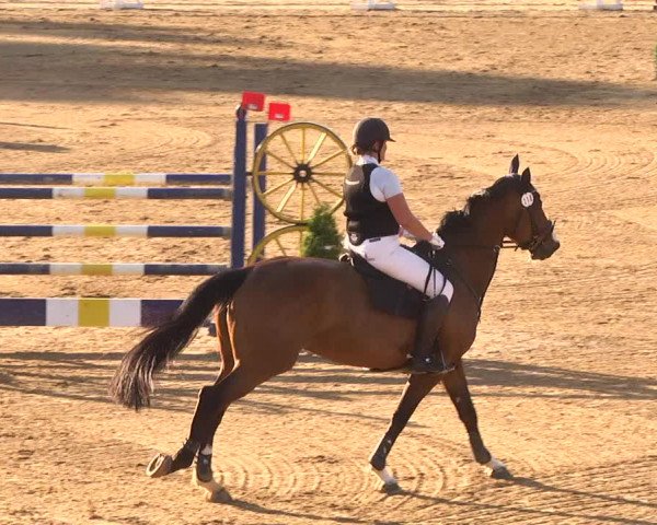 Reitturnier Schwaiganger 2017