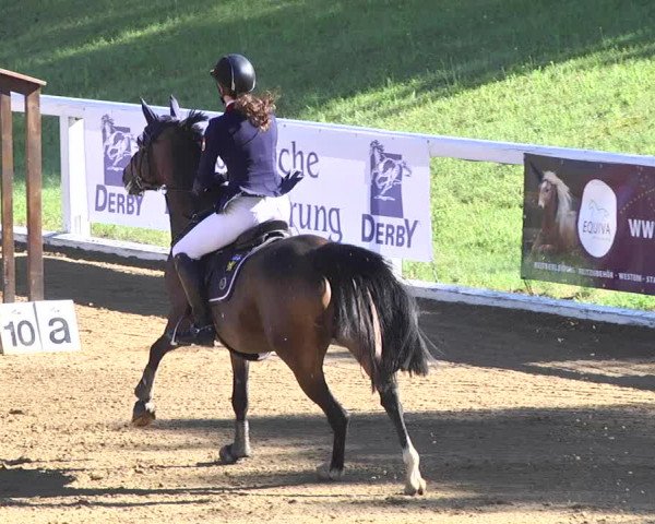 Reitturnier Schwaiganger 2017