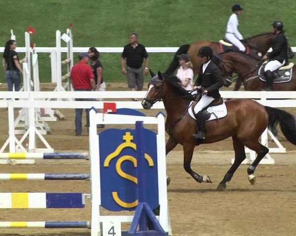 Reitturnier Schwaiganger 2017