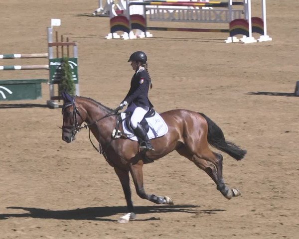 Reitturnier Schwaiganger 2017