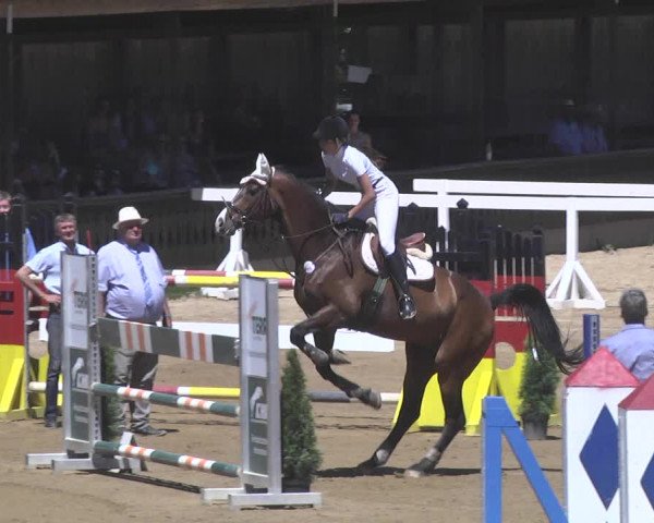 Reitturnier Schwaiganger 2017