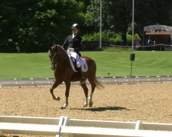 Reitturnier Schwaiganger 2017
