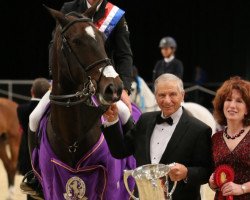 jumper Evert (KWPN (Royal Dutch Sporthorse), 2009, from Amadeus)