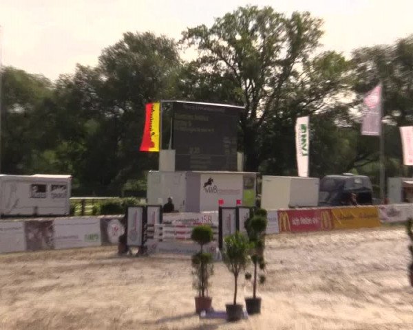 Reitturnier Detmold-Remmighausen 2017