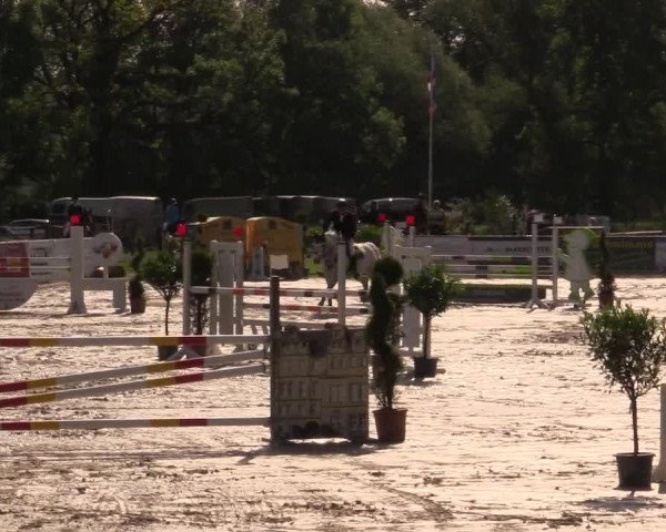 Reitturnier Detmold-Remmighausen 2017