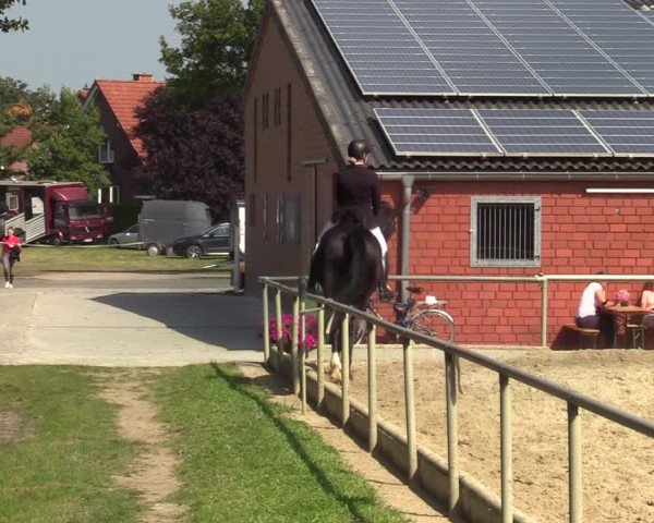Reitturnier Ascheberg 2021