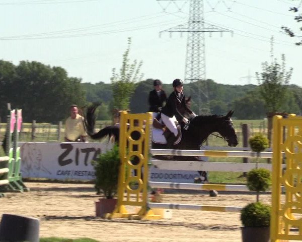 Reitturnier Dortmund-Asseln 2017