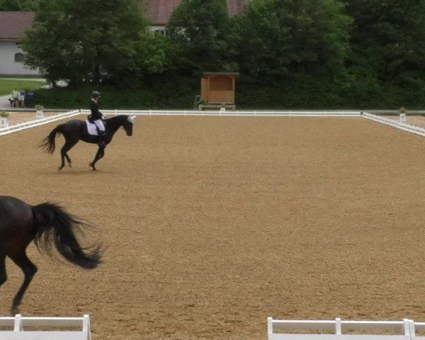 Reitturnier Schwaiganger 2017