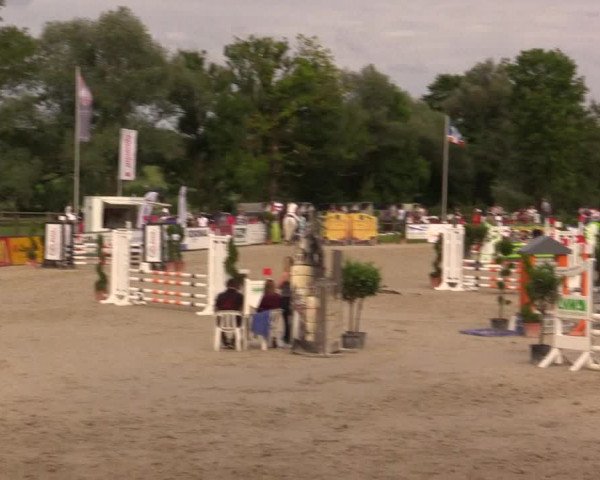 Reitturnier Detmold-Remmighausen 2017