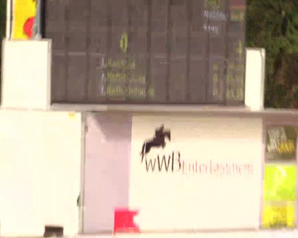Reitturnier Detmold-Remmighausen 2017