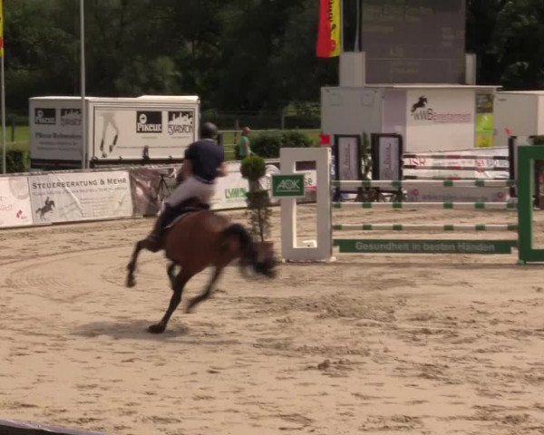 Reitturnier Detmold-Remmighausen 2017