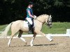 dressage horse McD Golden Sylvaner (German Riding Pony, 2008, from White Gold B)