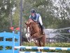 broodmare Carrika (Oldenburg show jumper, 2010, from Carrico)