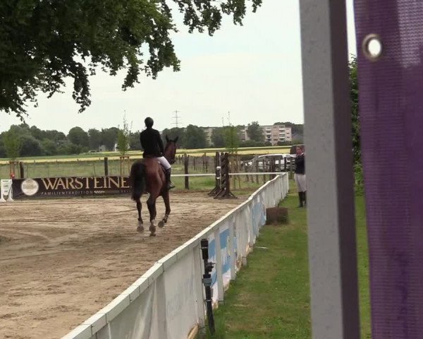 Reitturnier Dortmund-Asseln 2017