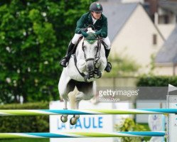 broodmare Indra van de Oude Heihoef (Belgian Warmblood, 2008, from Casantos)