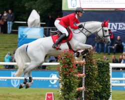 stallion Cigaret JvH Z (Zangersheide riding horse, 2009, from Clinton)