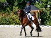 dressage horse Windschatten (Hanoverian, 2013, from Weltmeyer)