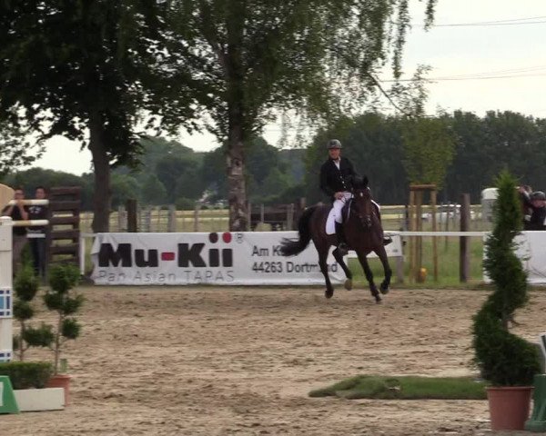 Reitturnier Dortmund-Asseln 2017