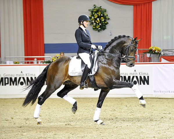 dressage horse Apache (Royal Warmblood Studbook of the Netherlands (KWPN), 2005, from UB 40)