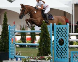 jumper Celana Z (Zangersheide riding horse, 2005, from Chellano Z)