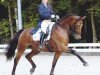 dressage horse Linus 254 (Hanoverian, 2002, from Lemon Park)