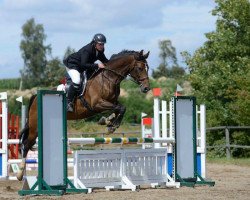 jumper Donnerrose (German Sport Horse, 2006, from Monte Bellini)