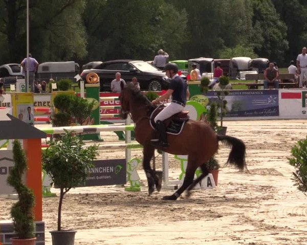 Reitturnier Detmold-Remmighausen 2017