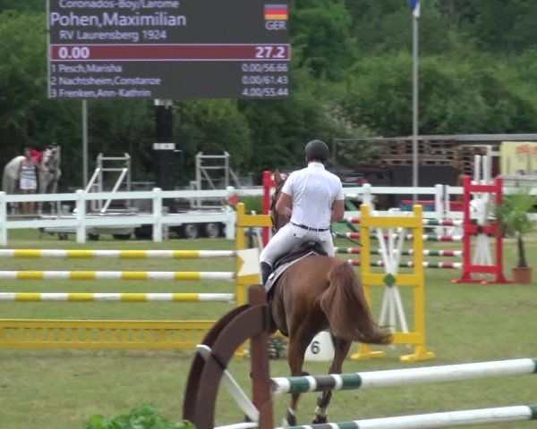 Reitturnier Düren - An der Kuhbrücke 2017