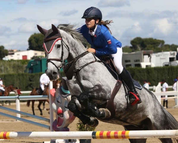jumper Rhonehill Sadie (Irish Sport Horse, 2004, from Cruising)