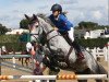 jumper Rhonehill Sadie (Irish Sport Horse, 2004, from Cruising)