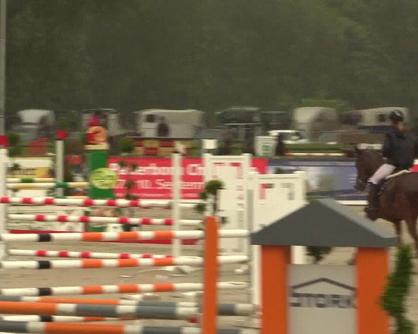 Reitturnier Detmold-Remmighausen 2017